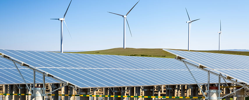 Corporativo y Cumplimiento